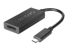 USB-C to DisplayPort Adapter