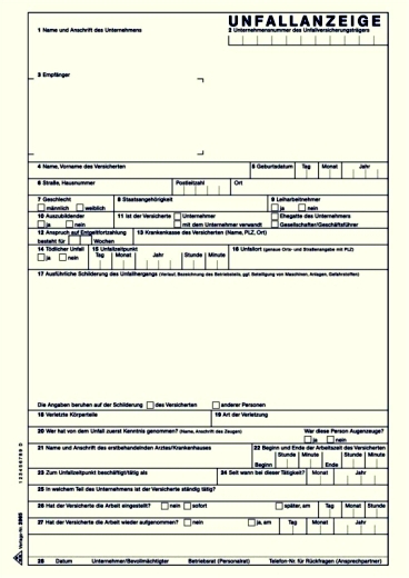 Unfallanzeige für Arbeitsunfall - SD, 1 x 5 Blatt, DIN A4, + 1 Seite Hinweise