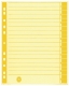 Trennblätter - A4 Überbreite, gelb, farbiger Rahmendruck, 100 Stück