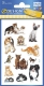 Z-Design 53574, Kinder Sticker, Katzenbabies, 3 Bogen/36 Sticker