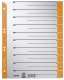 1652 Trennblätter - A4 Überbreite, orange, farbiger Lochrand, 100 Stück