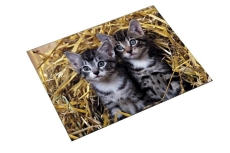 Schreibunterlage Motiv Katze "Katzen im Stroh"