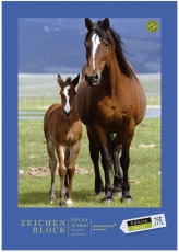 Zeichenblock perforiert - A2, 10 Blatt, 100 g/qm, sortiert