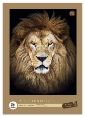 Zeichenblock perforiert - A3, 20 Blatt, 100 g/qm, sortiert