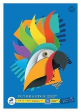 Fotokarton geleimt - A4, 10 Blatt, 300g/qm