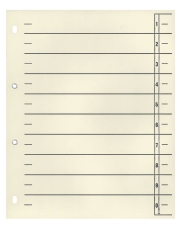 Trennblätter - A4 Überbreite, chamois, 10 Stück, verstärkt