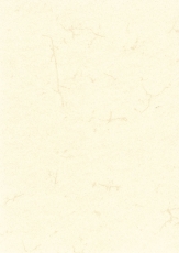 Dokumentenpapier (Elefantenhautpapier), 110g/qm, weiß, DIN A4