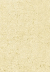 Dokumentenpapier (Elefantenhautpapier), 110g/qm, chamois, DIN A4