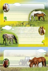 5568 Schuletiketten - Pferde, beglimmert