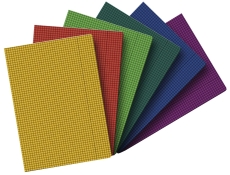 Diarie (Kladde) - Größe: A4, Folio, geheftet, kariert/Rand, 40 Blatt