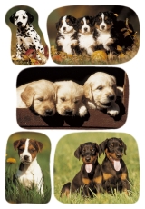 3528 Sticker DECOR Hundewelpenfotos