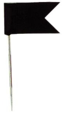 Markierfahne, 35 x 18 mm, schwarz, Dose 20 Stück