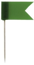 Markierfahne, 35 x 18 mm, dunkelgrün, Dose 20 Stück